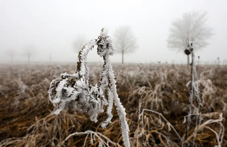 Nuklearer Winter_02