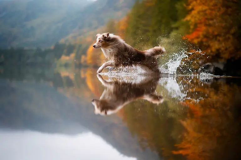 High Res_Fuck cancer, enjoy life!