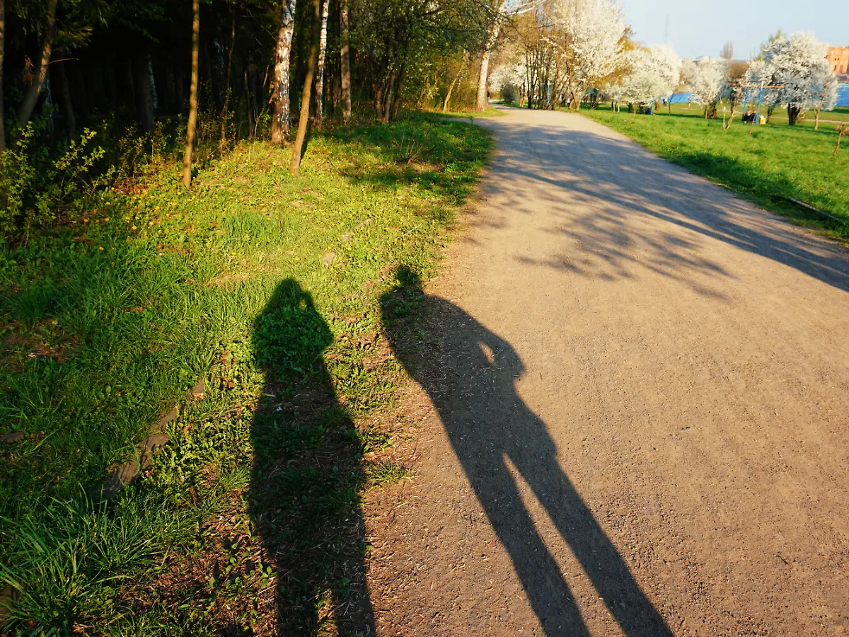 Soft Launch, Ick, Benching: Sprechen Sie noch Dating?