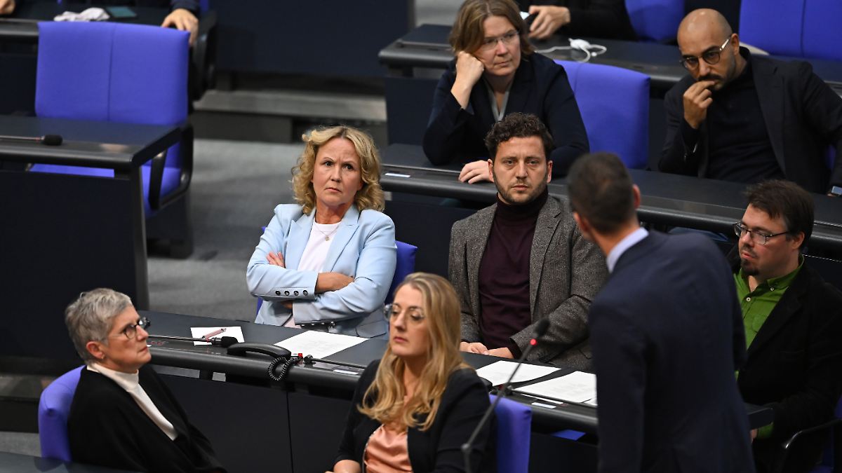 Bundestag debate over AfD state parliament chief exposes party divisions