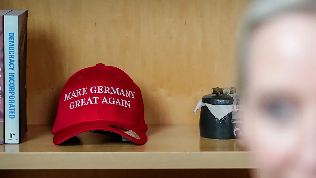 2025-01-09T175256Z_1165192990_RC2H6CAJDQLD_RTRMADP_3_GERMANY-ELECTION-MUSK