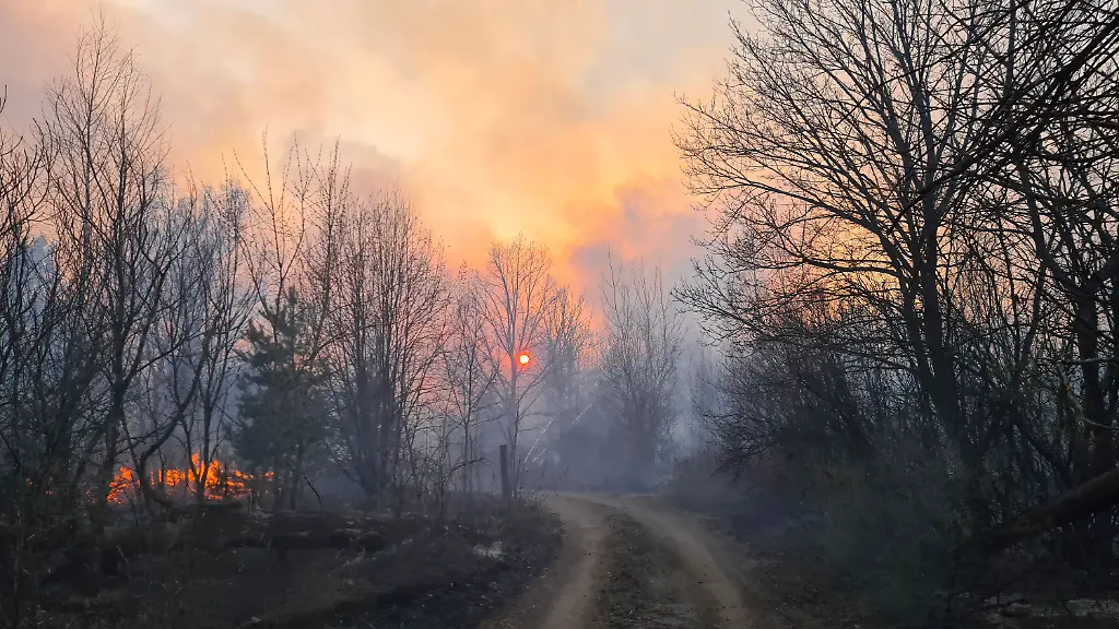 01568d33afbb9e5f5dd620468edade6c