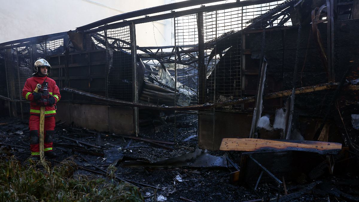 Tourist magnet in flames: Popular market hall in Paris burns to the ground