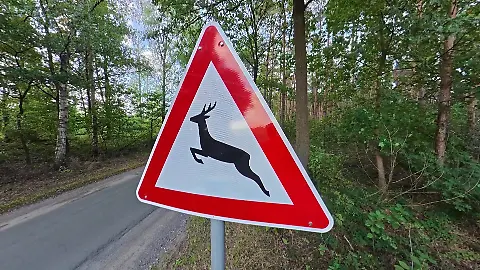 KoelnNews_347070341_2540