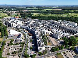 Ziele für 2029 bereits erreicht: Schaeffler-Mitarbeiter reißen sich um Altersteilzeit und Abfindungen