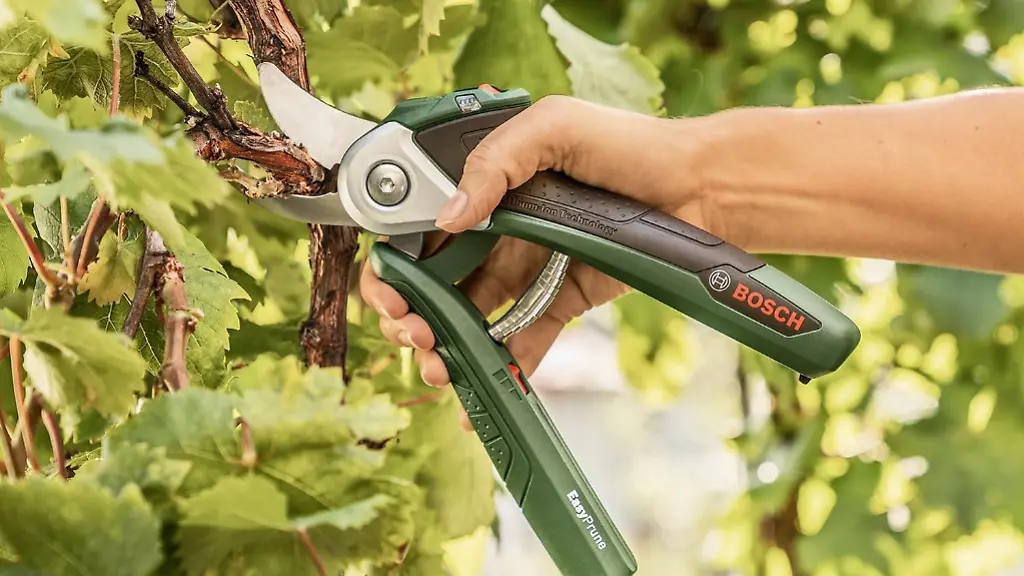 bosch_easyprune