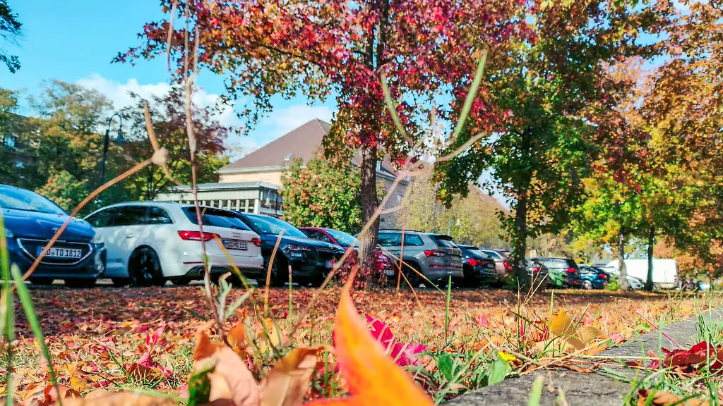 Autos im Herbst