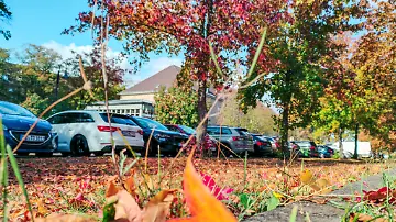 Autos im Herbst