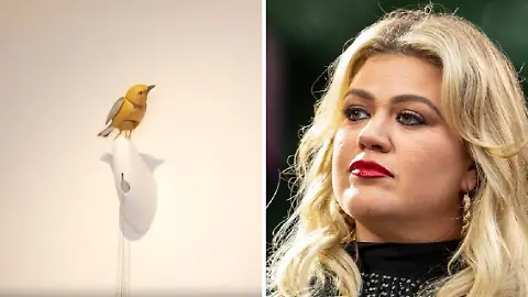 ClarksonsVogel