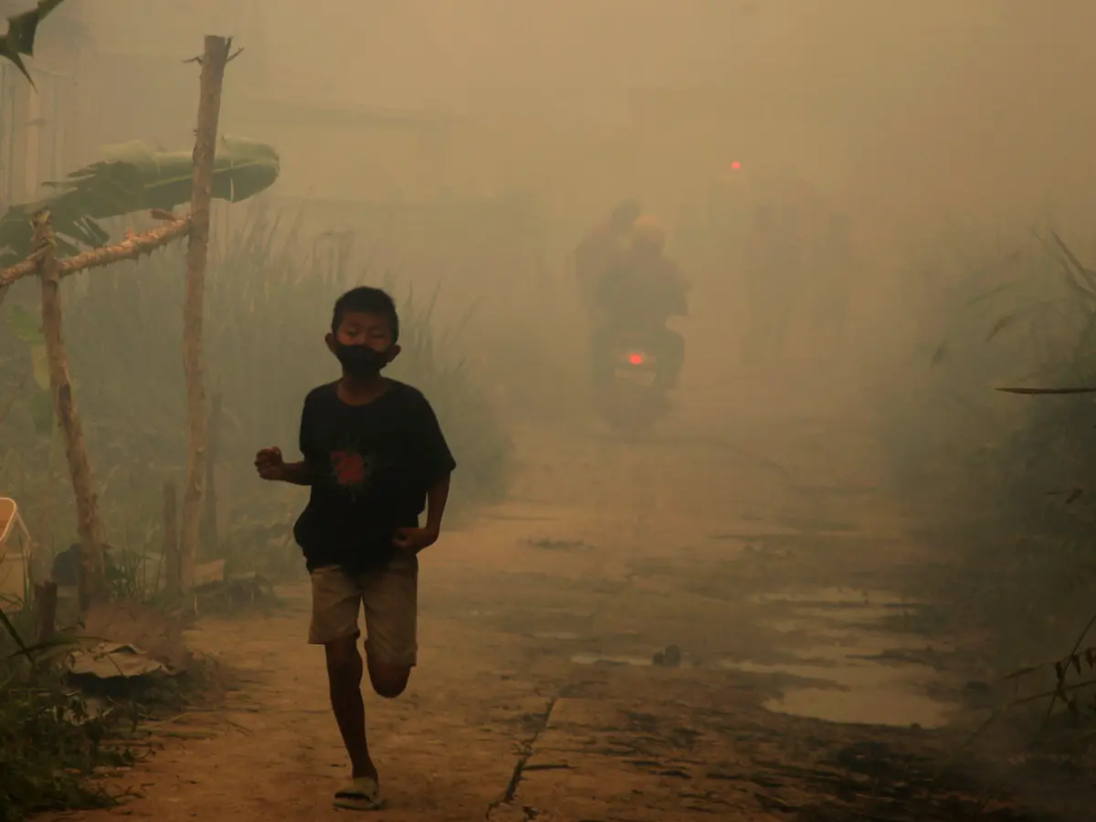 Waldbrände in Indonesien: Südostasien ruft höchste Alarmstufe aus