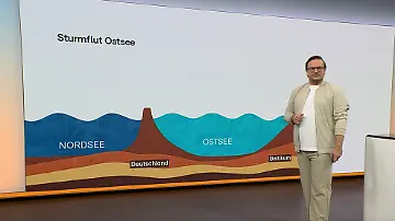 Screenshot 2026-10-19 080721