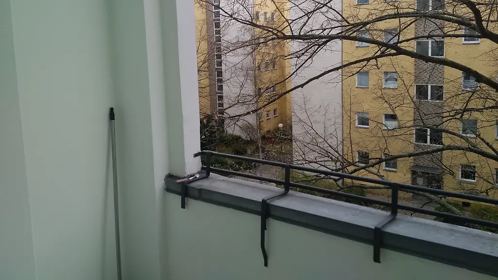 IMG-20200403-1319448