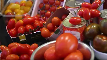WVSER26Tomate