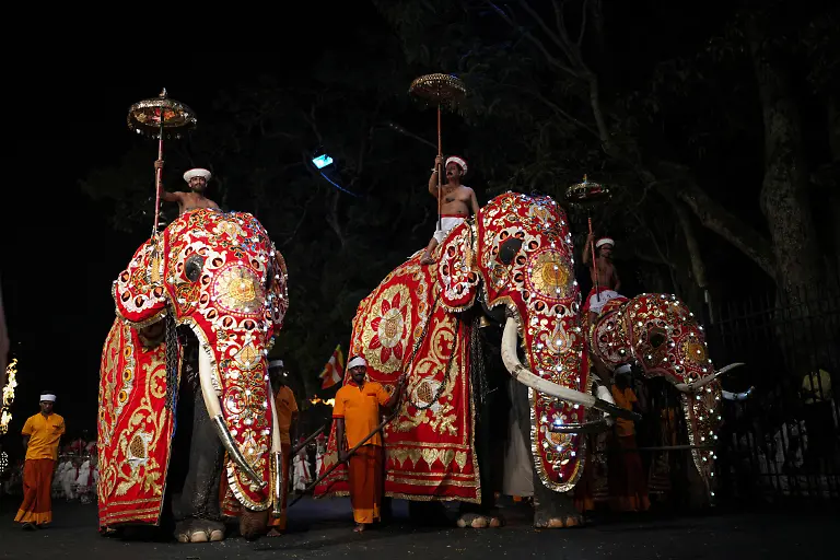 2026-10-14T230708Z_957147867_RC2D0GAKEK4X_RTRMADP_3_SRILANKA-ELEPHANTS