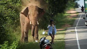 2026-10-14T230634Z_1058187587_RC2W6EA5RIC2_RTRMADP_3_SRILANKA-ELEPHANTS