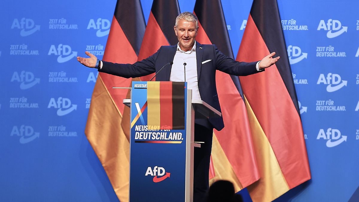 Spenden, Höcke, Bankdaten: Hackerangriff legt sensibles Innenleben der AfD offen - n-tv.de
