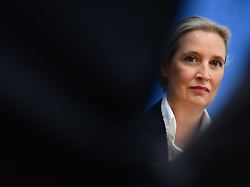 "Wir müssen durchknallt sein!!!!": Der AfD-Leak zeigt, welchen Weg Alice Weidel gegangen ist