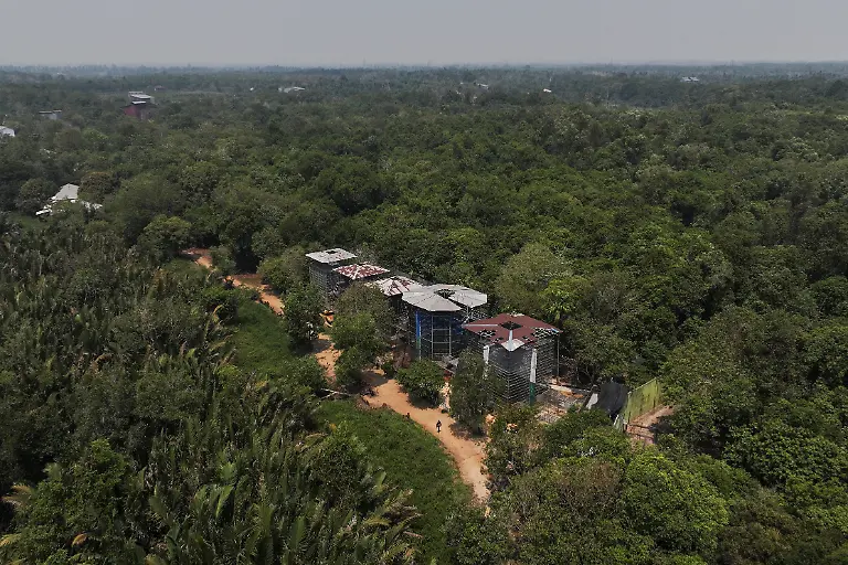 2026-10-15T230526Z_1712850894_RC2AANA0TIQX_RTRMADP_3_ASIA-WEATHER-INDONESIA-WILDFIRE-ORANGUTANS