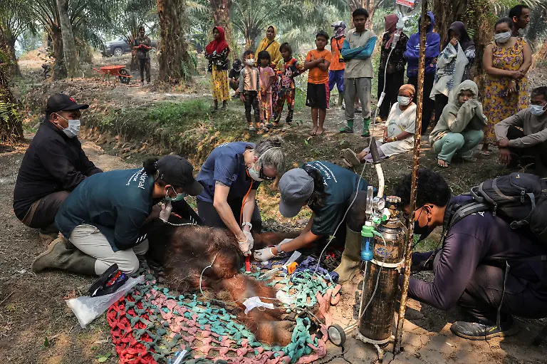 Sampuran3