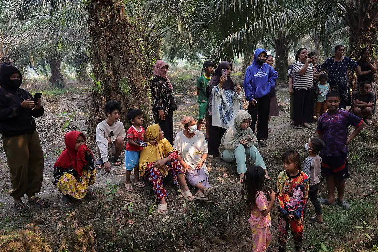 2026-10-15T230452Z_1885992493_RC2Q8NAMRDWS_RTRMADP_3_ASIA-WEATHER-INDONESIA-WILDFIRE-ORANGUTANS