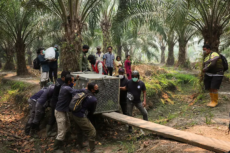 Rettung von Sampurna2