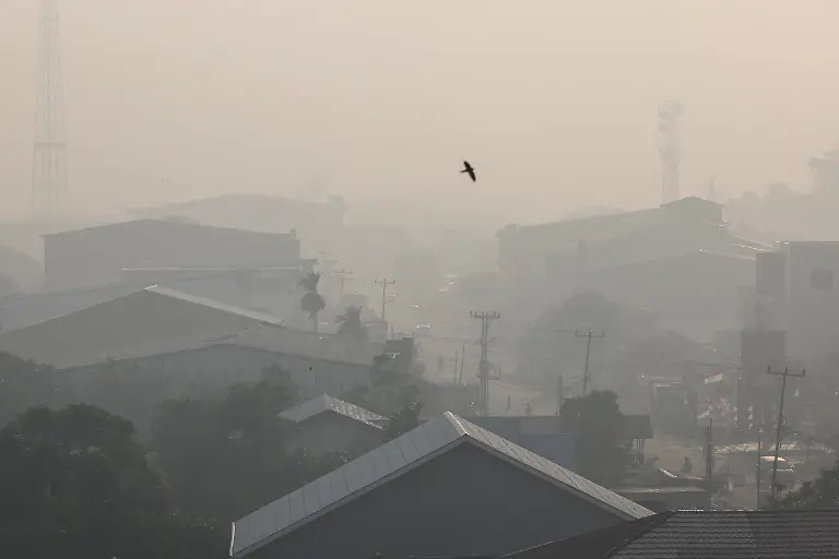 2026-10-15T230449Z_1667797835_RC2B9NAH064Y_RTRMADP_3_ASIA-WEATHER-INDONESIA-WILDFIRE-ORANGUTANS