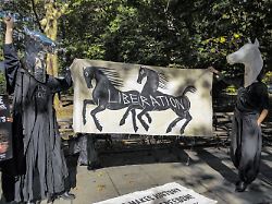 Nach jahrelangen Diskussionen: New York verbietet Pferdekutschen im Central Park