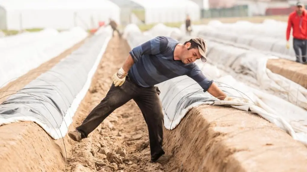 Die-Linksfraktion-im-Brandenburger-Landtag-haelt-ein-Soforthilfeprogramm-fuer-die-Landwirte-fuer-notwendig