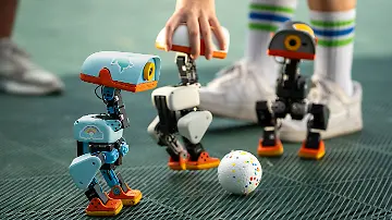 microduck-kickabout