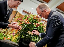 "Eine große Ehre": Singapur benennt Orchidee nach Friedrich Merz