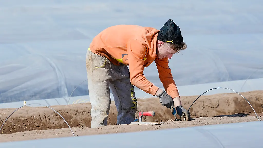 5ddb25a87184ffd5e43005a024fd892d