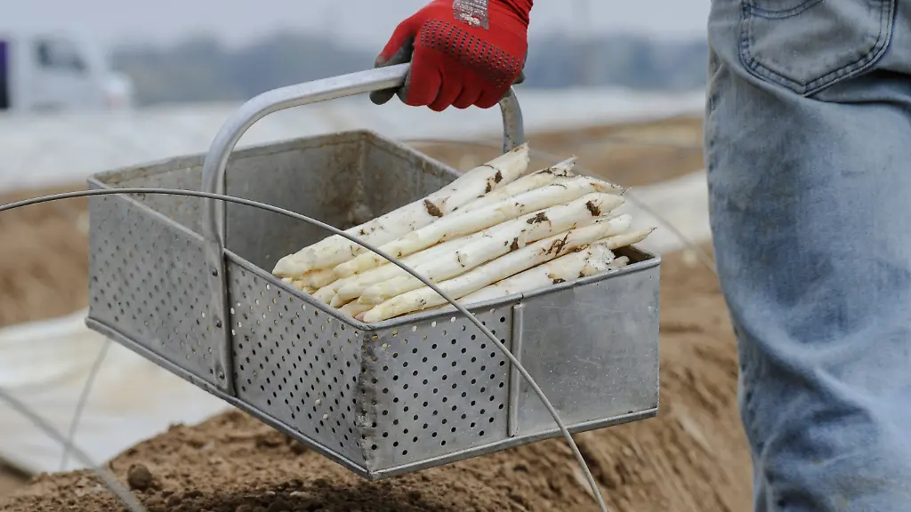 c5f8bf4070dcc142e35c8086a1acbced