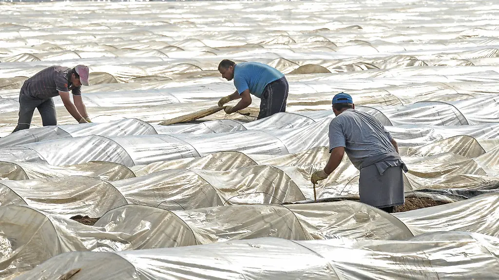 14f007872ec423e5329c2579ba499919