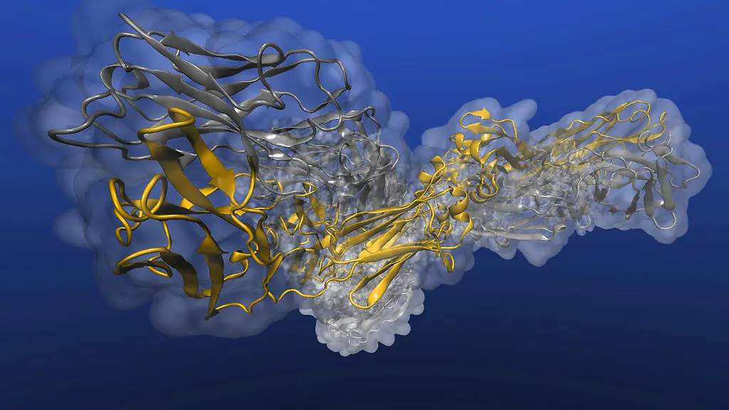 TUBS-Bild-4-web-du-bel