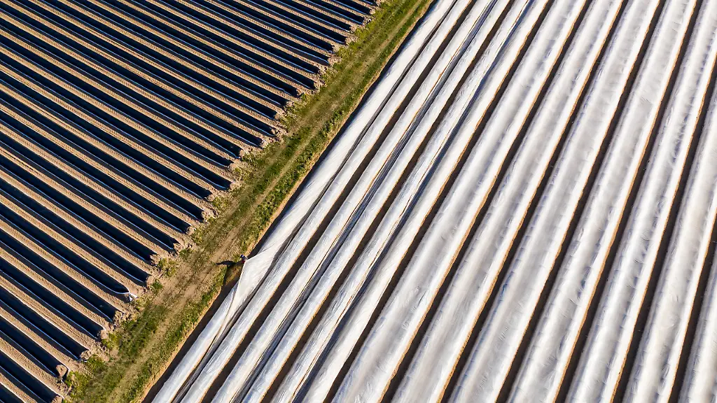 c81e22c0e5f5536325c4c11fa6baee6d