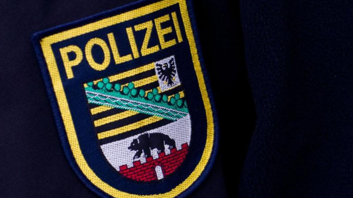 Polizeigewerkschaften warnen vor AfD-Sieg in Sachsen-Anhalt