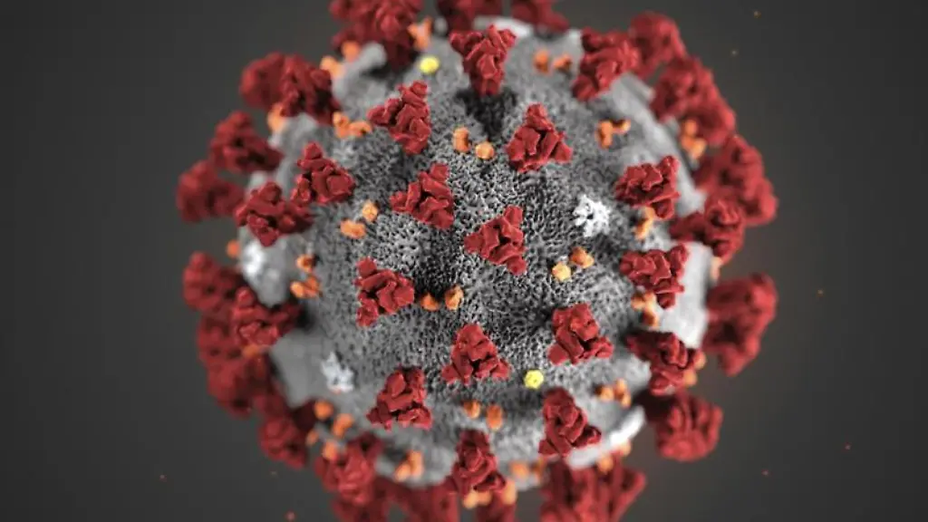 Eine-3D-Darstellung-des-Coronavirus