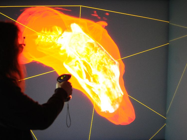 Eine 3D-Darstellung des Knut-Schädels. Es wurde am Institut für Mathematik der Technischen Universität Berlin entwickelt.