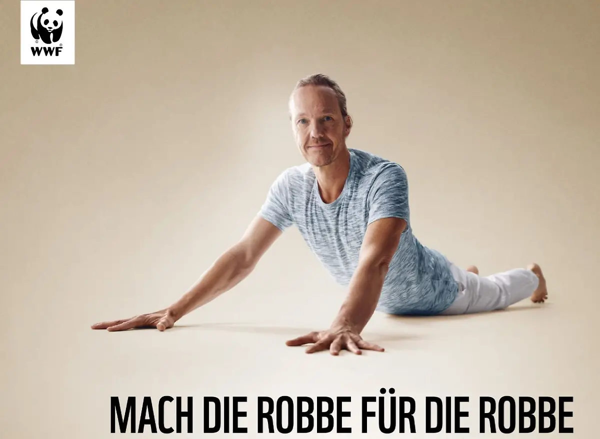 Robbe