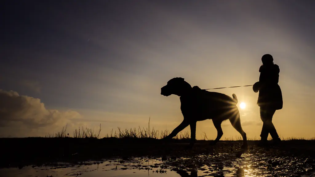 b8b186563b0baec6c628d62dd92d9865