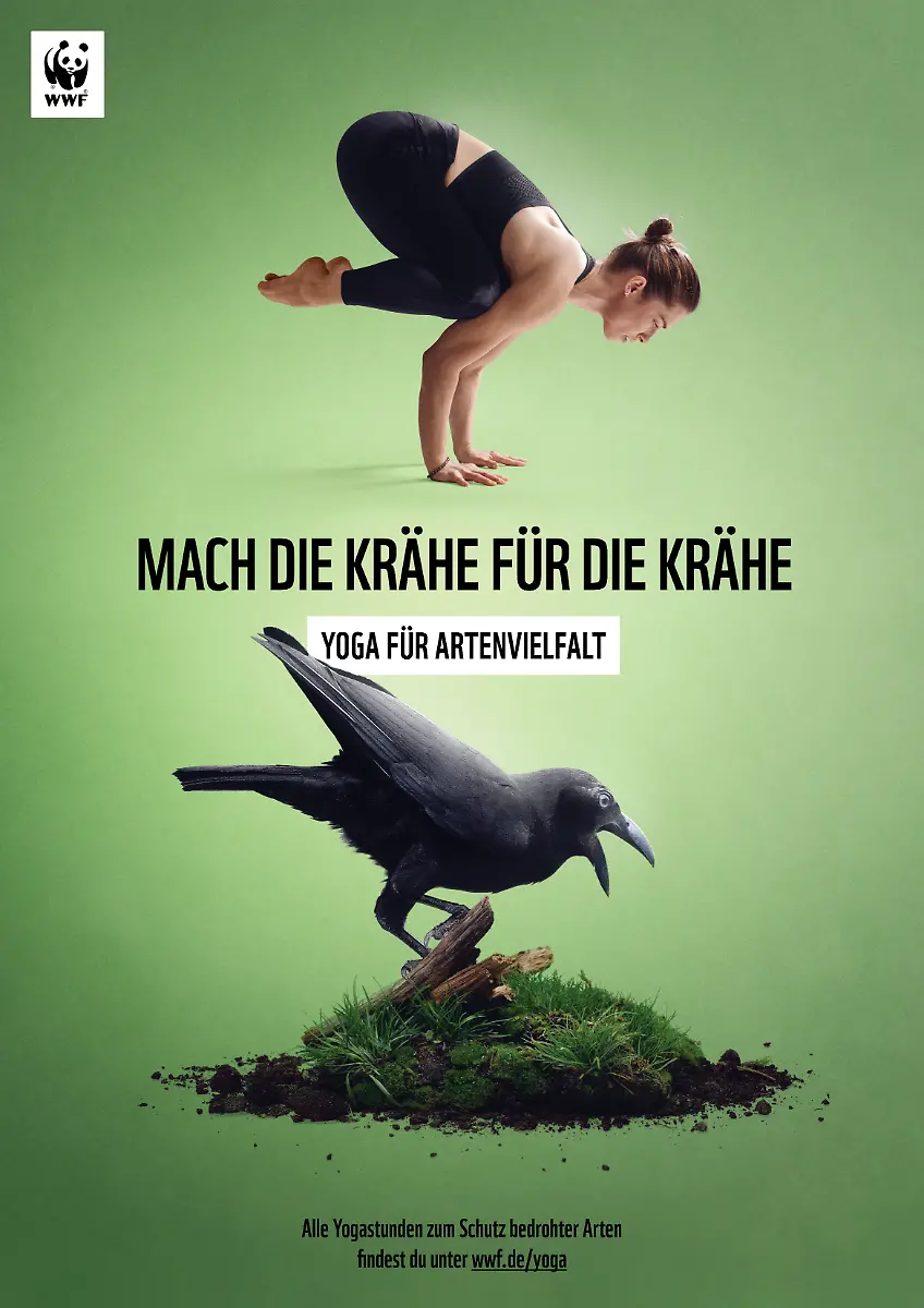 5-WWF-YfA-Plakat-BanggaiKraehe