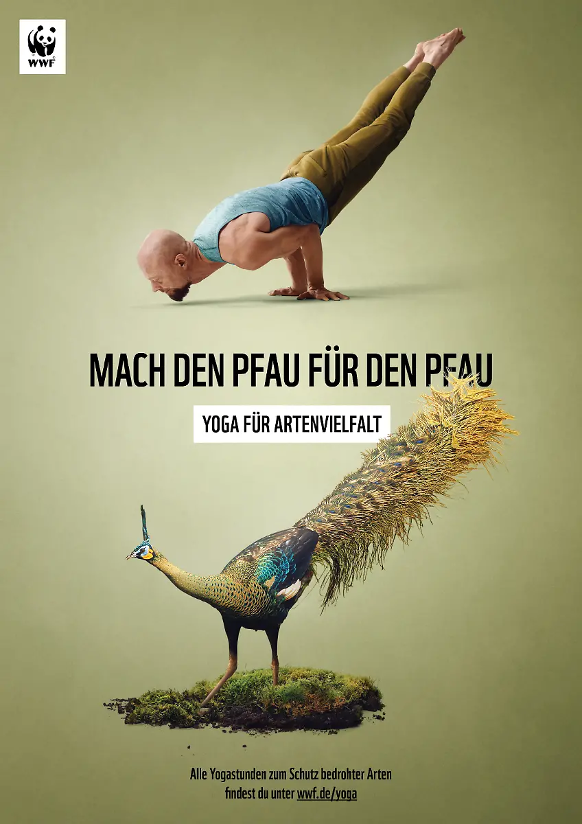 7-WWF-YfA-Plakat-Aehrentraegerpfau