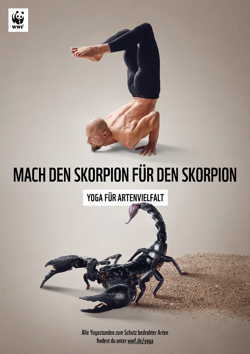 1-WWF-YfA-Plakat-Kaiserskorpion