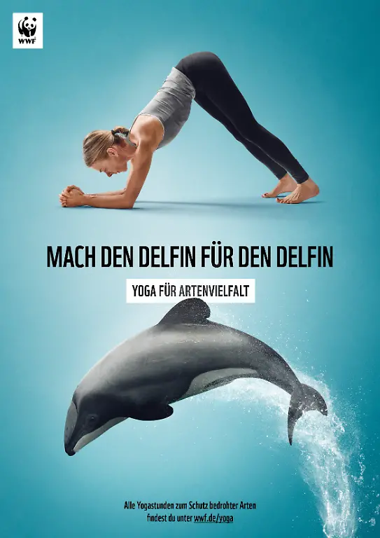 3-WWF-YfA-Plakat-MauiDelfin
