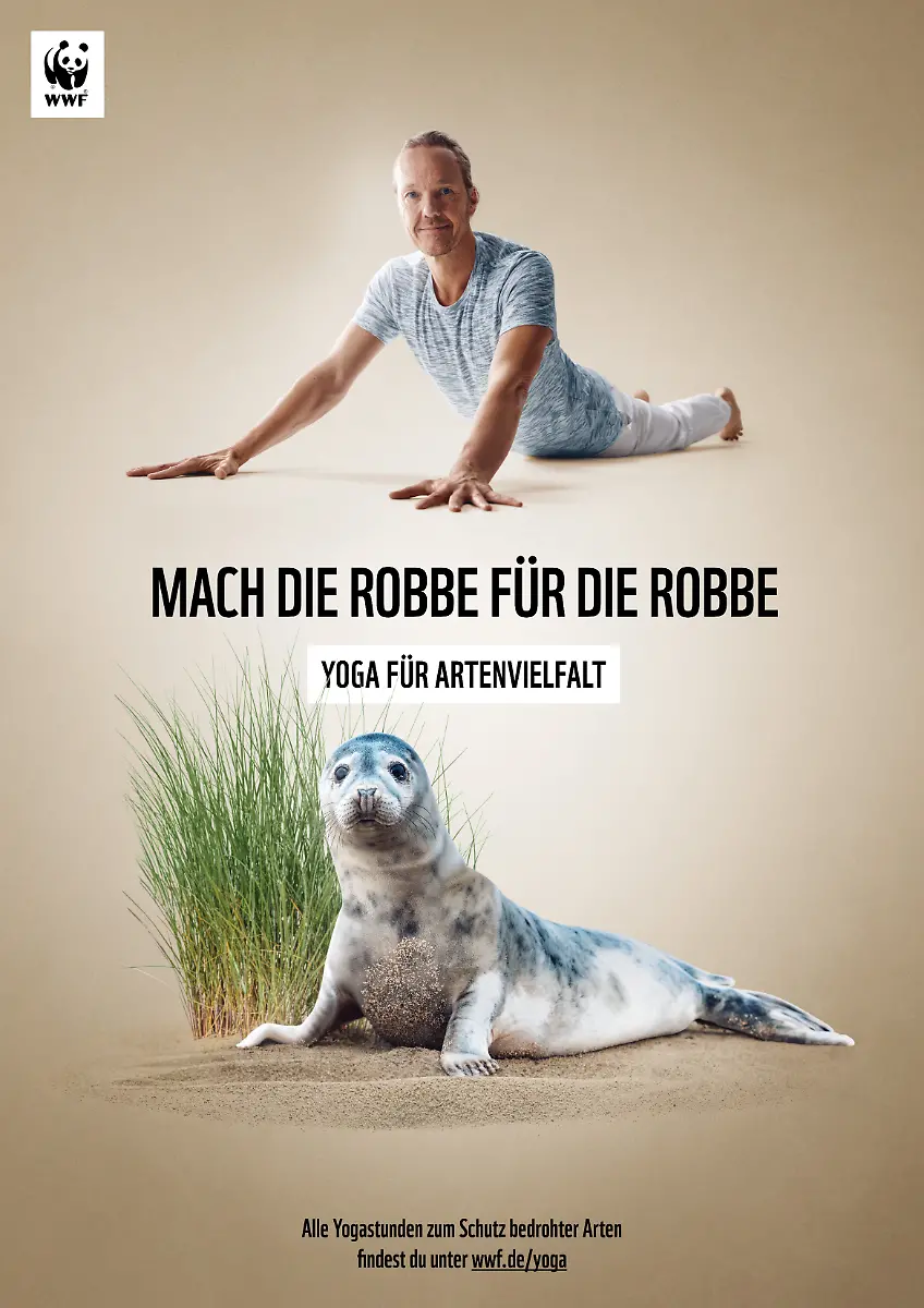 4-WWF-YfA-Plakat-Moenchsrobbe