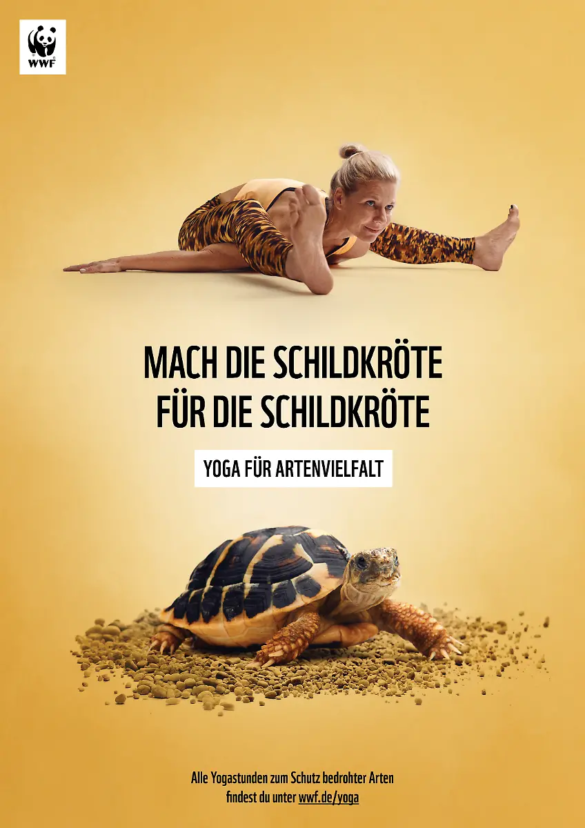2-WWF-YfA-Plakat-GriechLandschildkroete