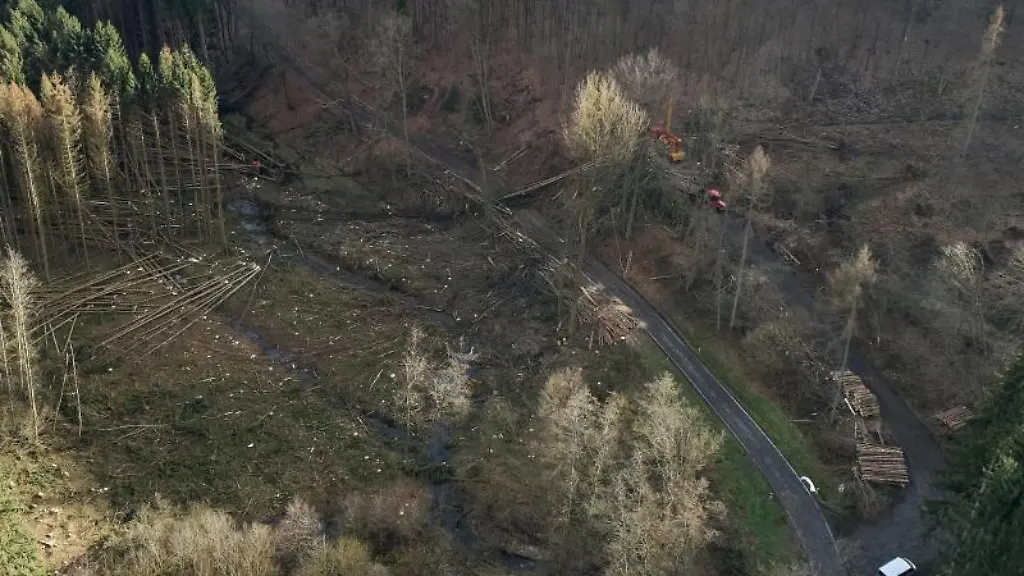 Waldarbeiter-sind-im-Westerwald-zwischen-Hillscheid-und-Simmern-mit-Aufzuarbeiten-beschaeftigt