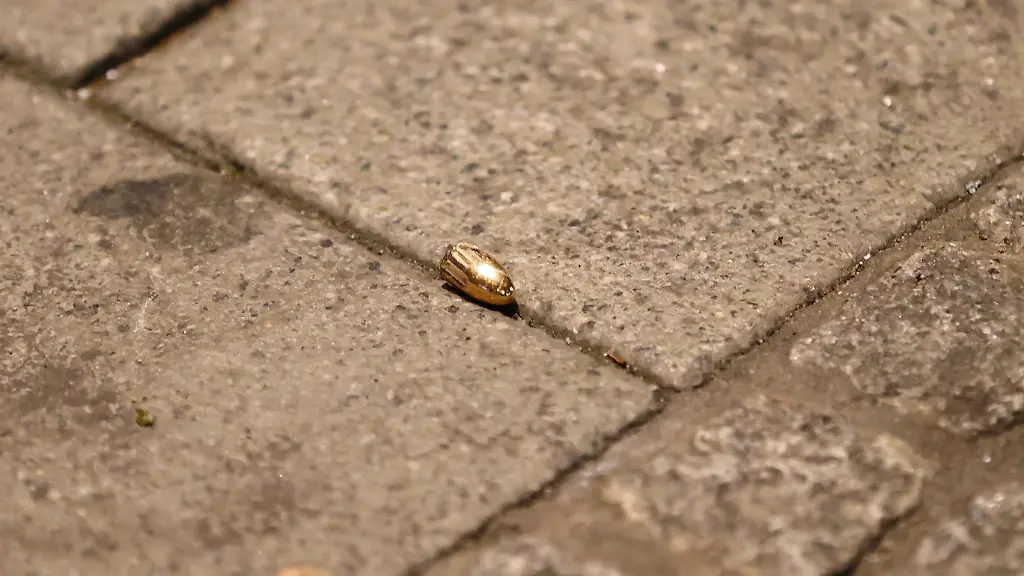 ea02082e5ea9e7d308ade75ec295e37a