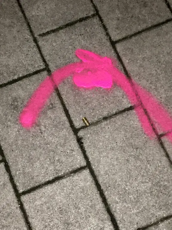 8a79126751c69746ffa6e36c25e1ea6d