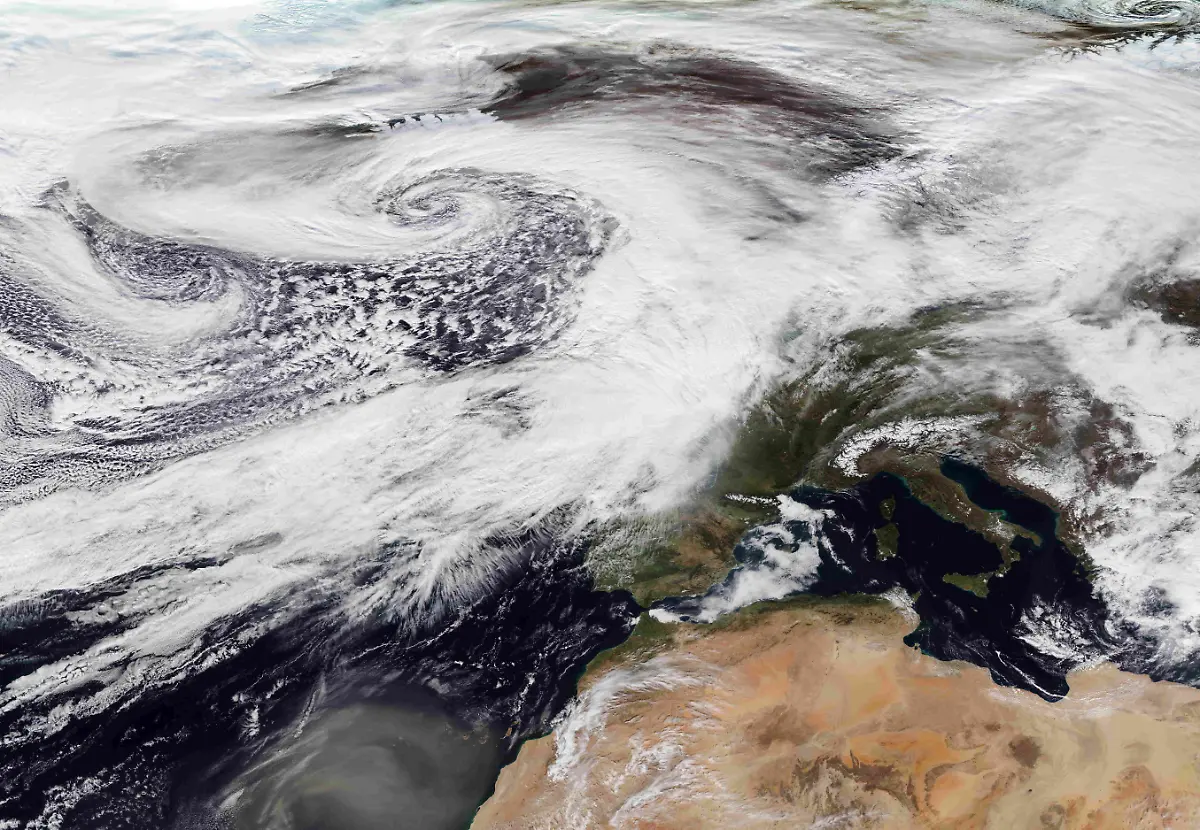 2020-02-18-TRUE-daily-20200215